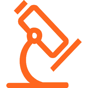service22.png.webp